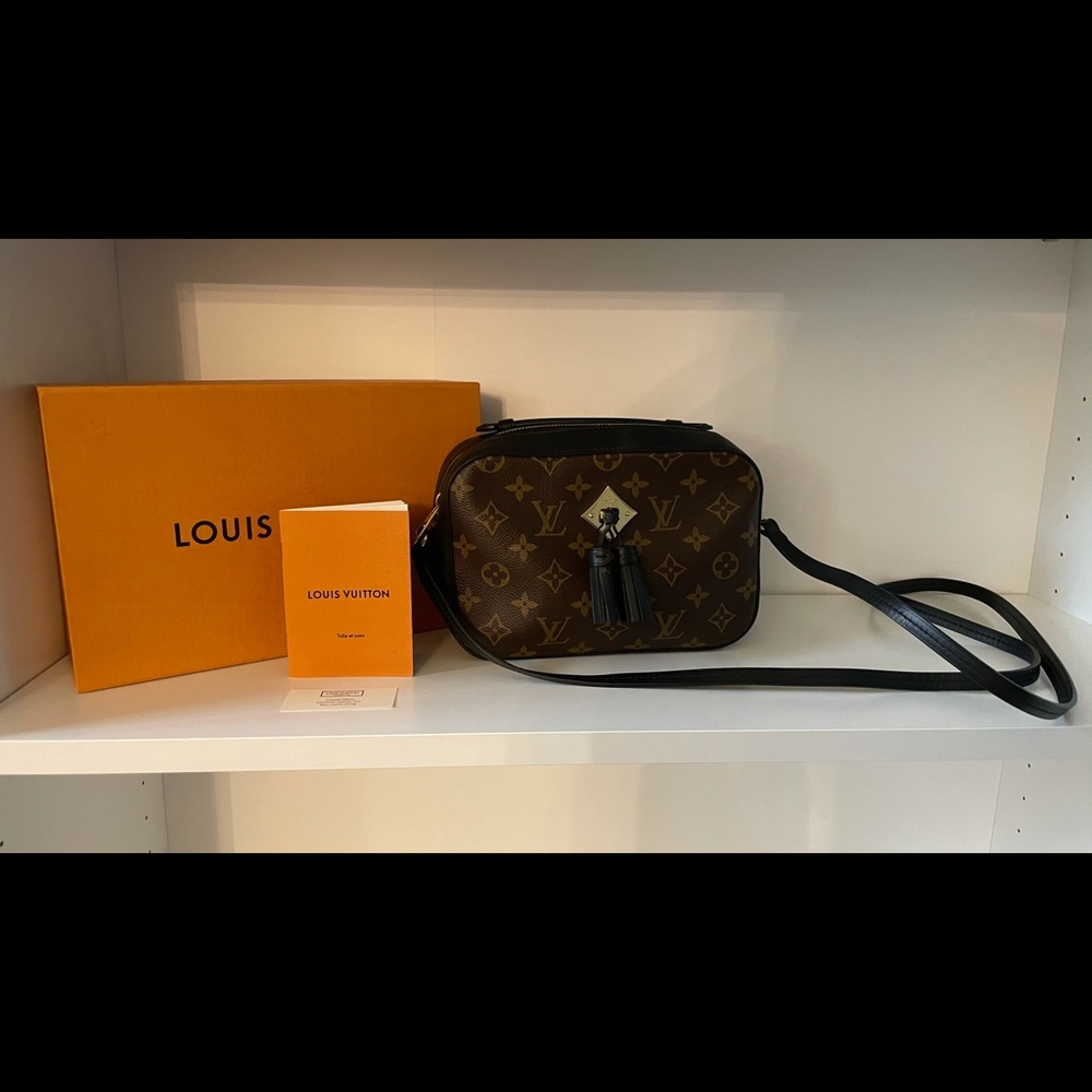 Louis Vuitton Saintonge camera bag